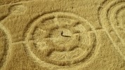    Specsavers - Crop Circles