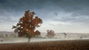    Waitrose - Autumn