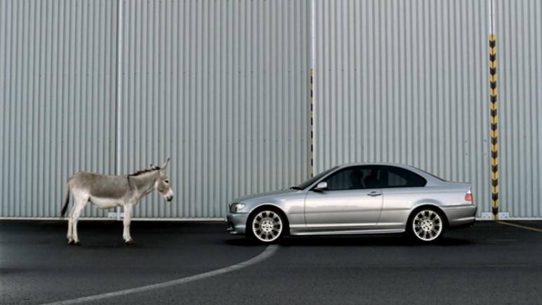  bmw-animals-03 - 